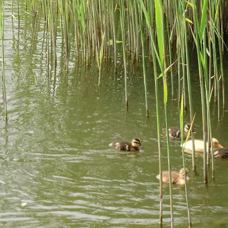 59 Casa de Férias *